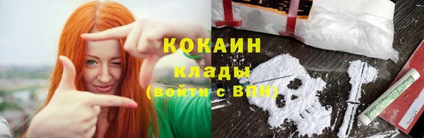 соль ск Инсар