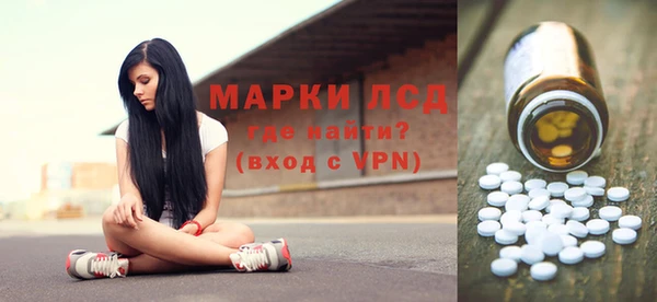 соль ск Инсар