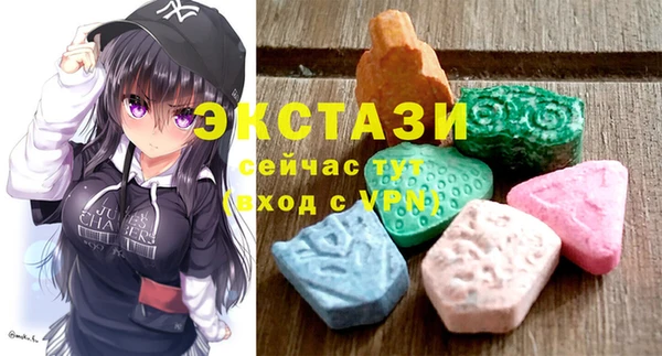 соль ск Инсар