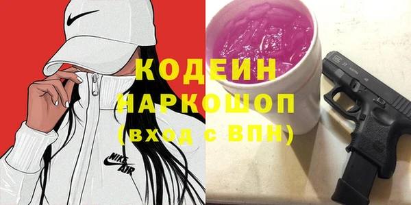 соль ск Инсар